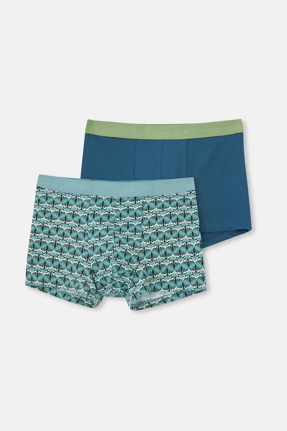 Açık Mavi-Koyu Yeşil 2'li Desenli Pamuk Boxer