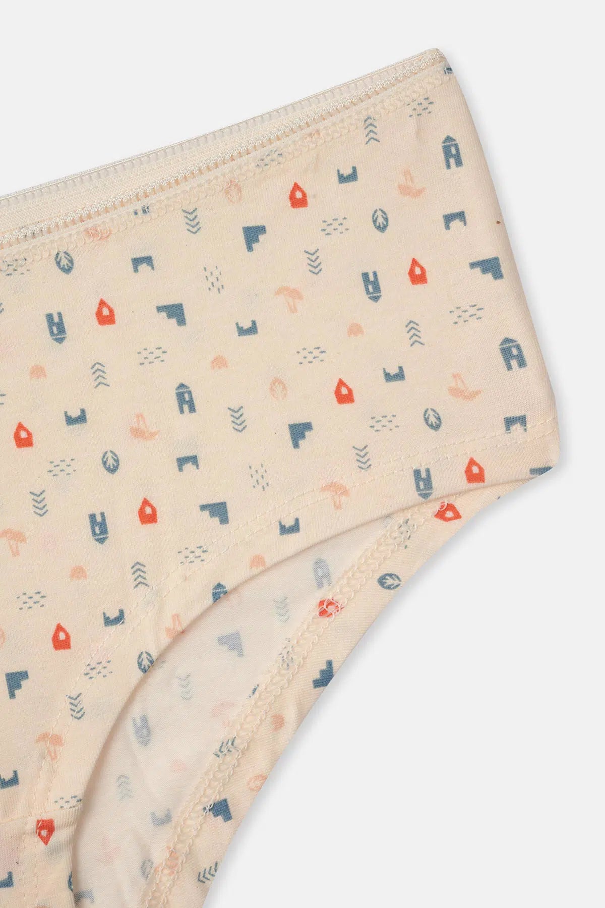 Ekru-Gri Mavi-Pudra Kadın 3'lü Desenli Hipster Külot