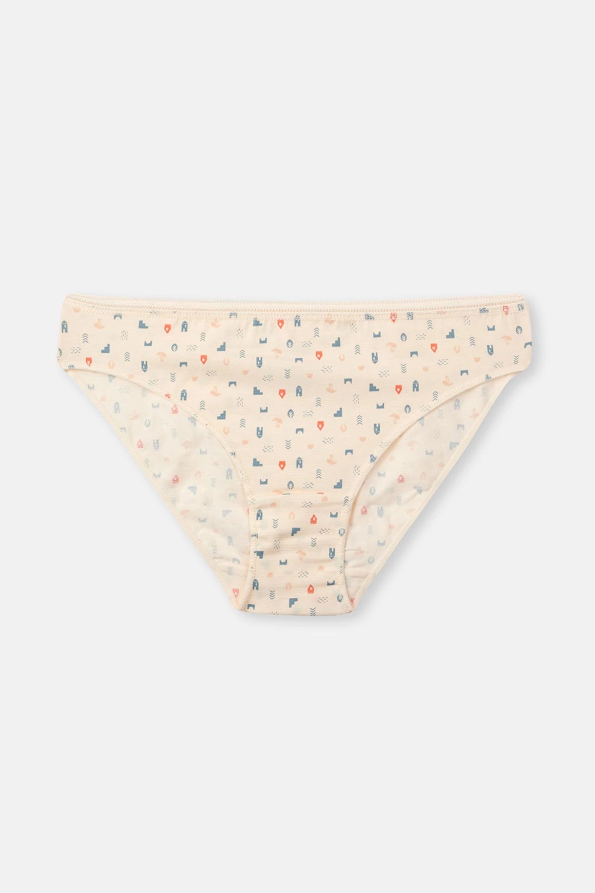 Ekru-Gri Mavi-Pudra Kadın 3'lü Desenli Brıef Külot