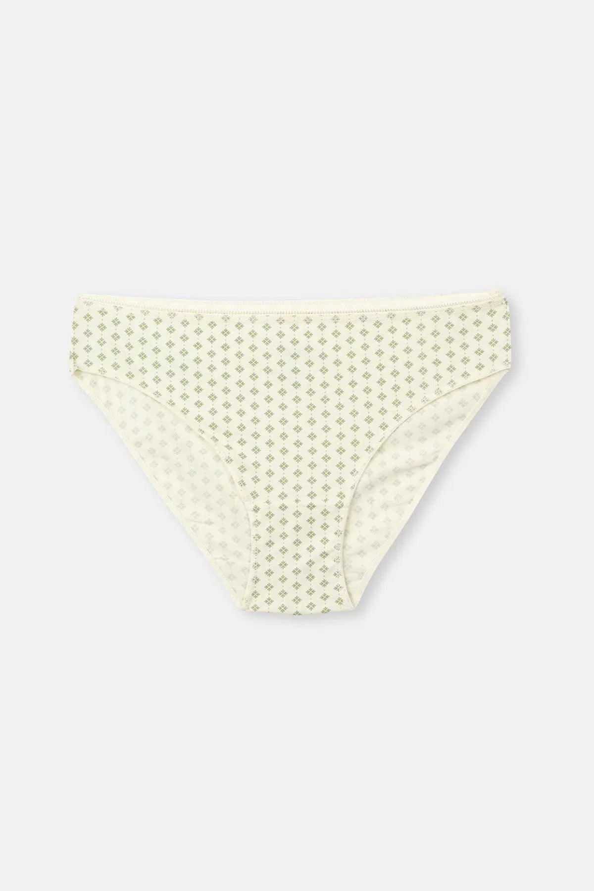 Somon-Yeşil Kadın 3'lü Desenli Brief Külot