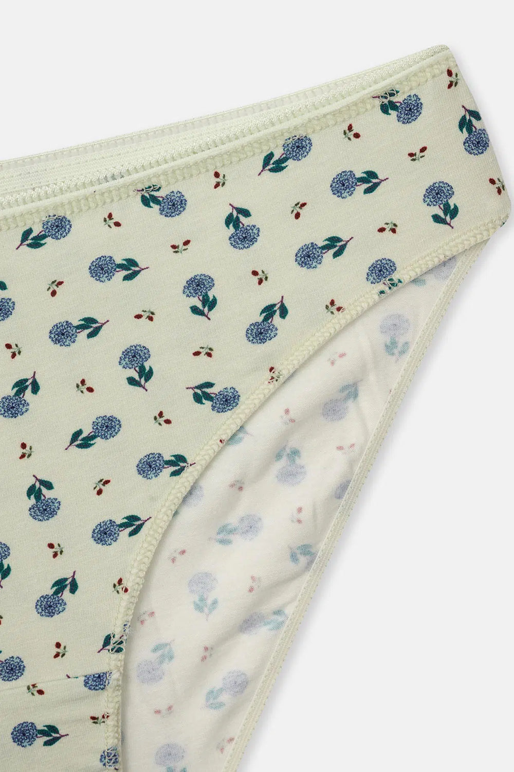 Gül Kurusu-Mint Kadın 3'lü Desenli Brief Külot