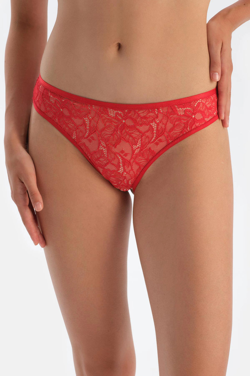 Kırmızı Pencere Detaylı Dantel Ve Tül Brıef Külot