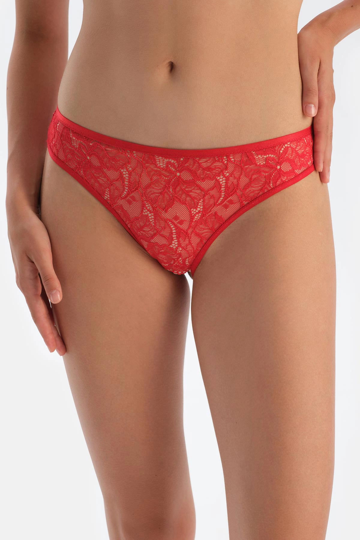 Kırmızı Pencere Detaylı Dantel Ve Tül Brıef Külot