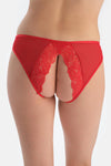 Kırmızı Pencere Detaylı Dantel Ve Tül Brıef Külot