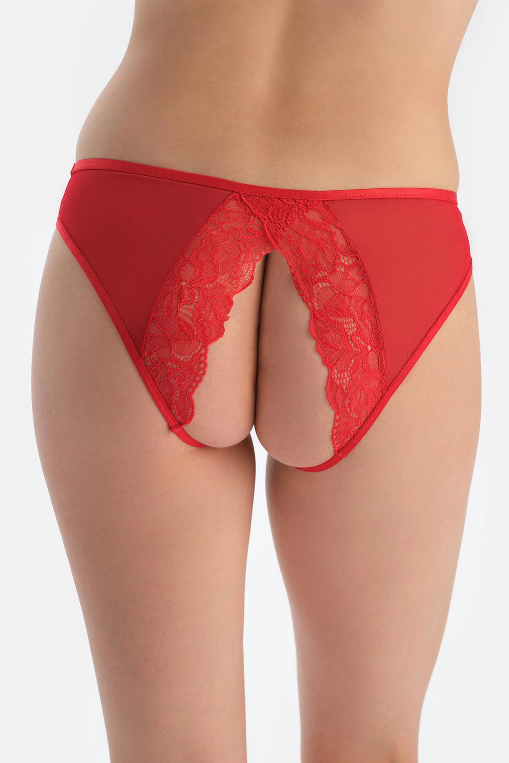 Kırmızı Pencere Detaylı Dantel Ve Tül Brıef Külot