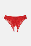 Kırmızı Pencere Detaylı Dantel Ve Tül Brıef Külot