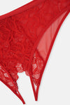 Kırmızı Pencere Detaylı Dantel Ve Tül Brıef Külot