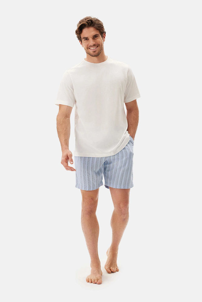 Açık Mavi Çizgili Dokuma Şort
