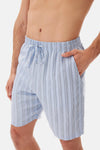 Açık Mavi Çizgili Dokuma Şort