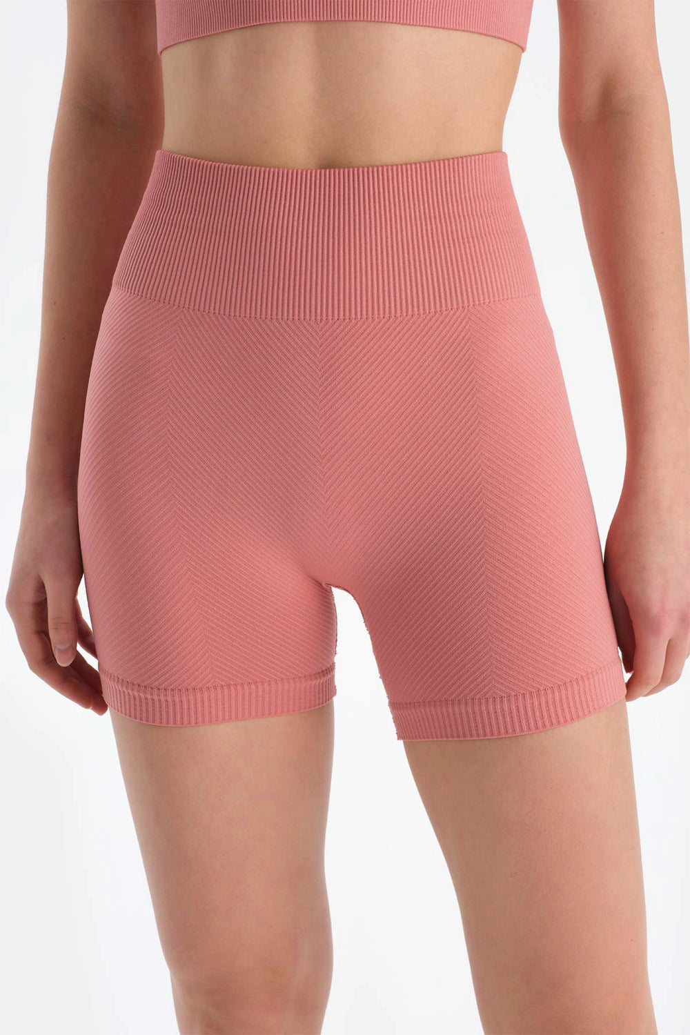 Gül Kurusu Dagi Active Kadın Seamless Bıker Tayt