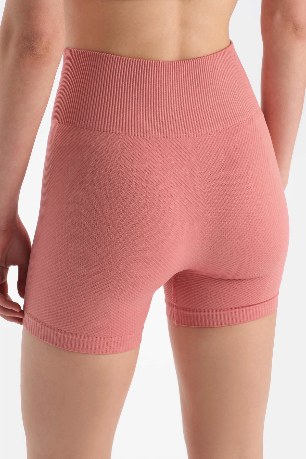 Gül Kurusu Dagi Active Kadın Seamless Bıker Tayt