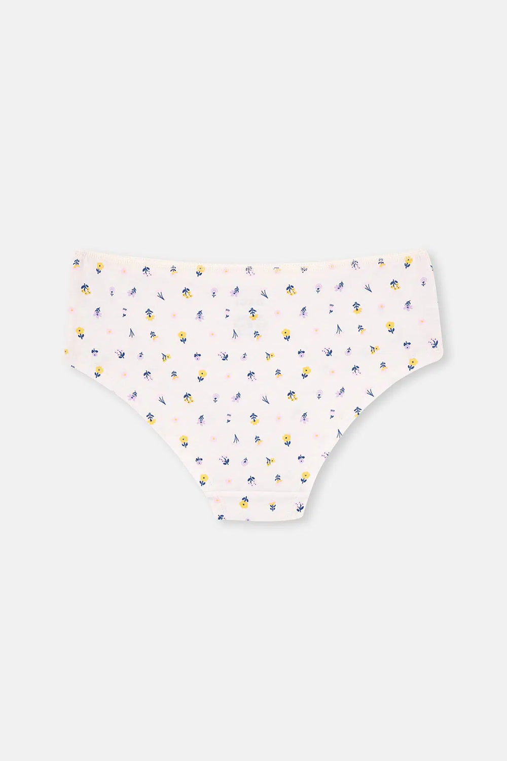 Multicolor Kadın 3'Lü Desenli Hipster Külot