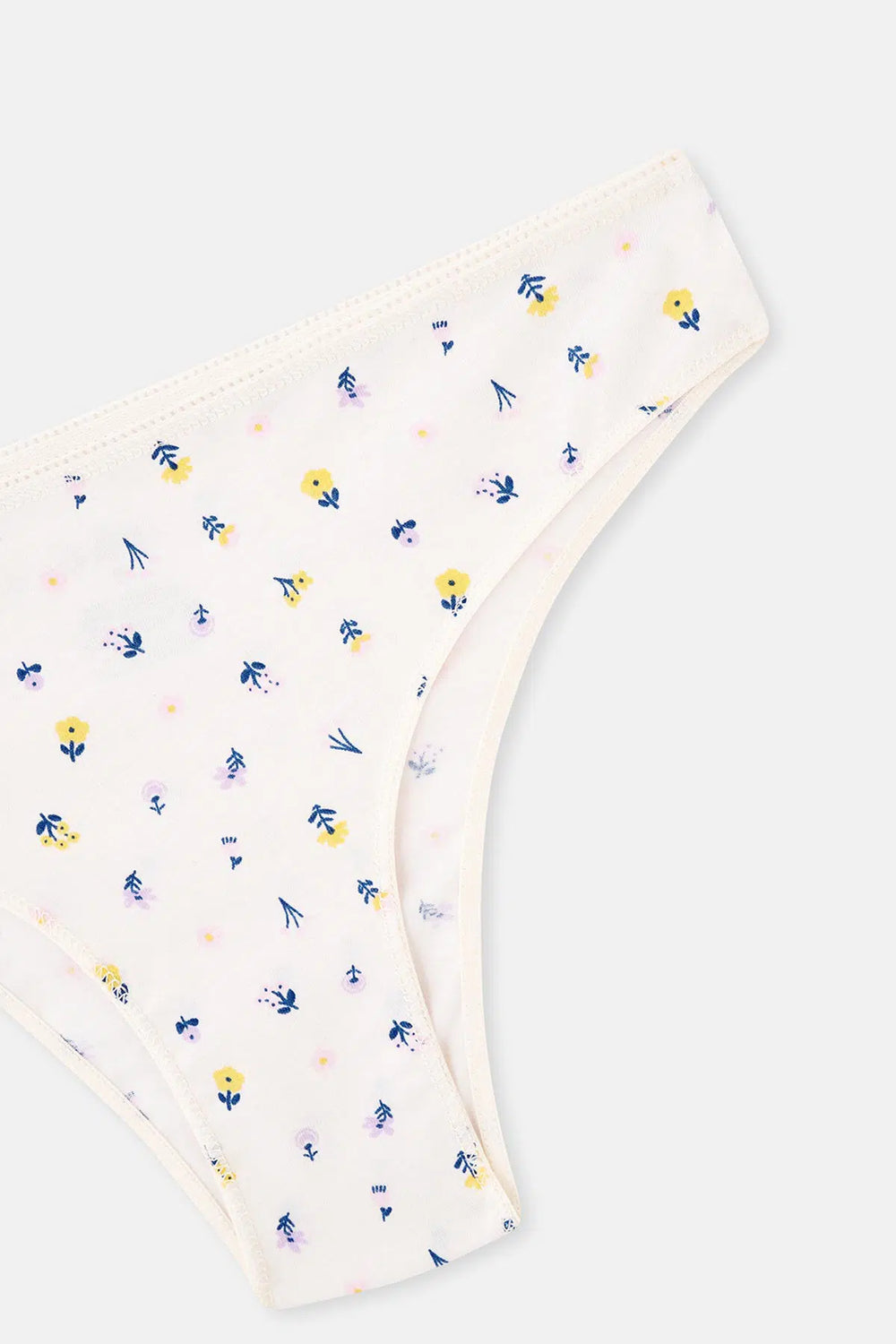 Multicolor Kadın 3'lü Pamuklu Brazilian Külot