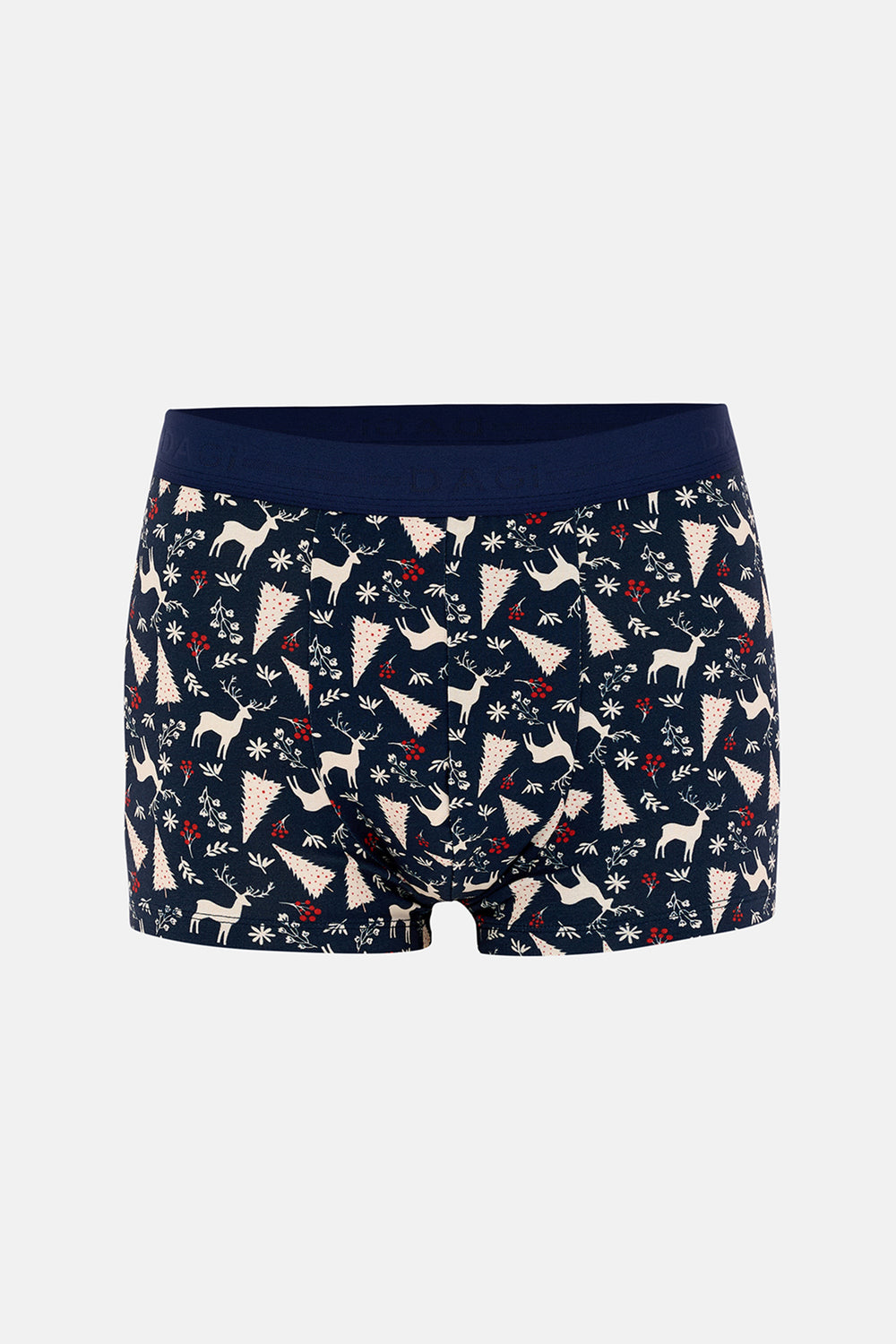 Lacivert 5210 2'li Desenli Pamuk Boxer