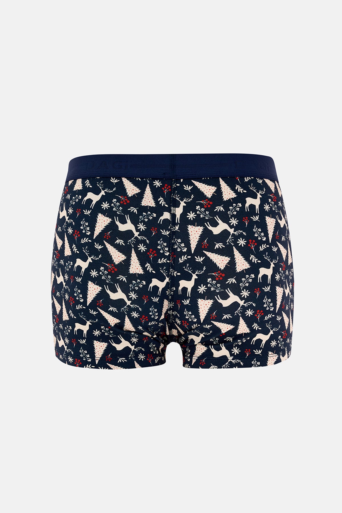 Lacivert 5210 2'li Desenli Pamuk Boxer