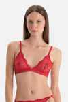 Kırmızı Dantel Detaylı Sütyen