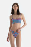 Multicolor Orta Bel Bikini Alt