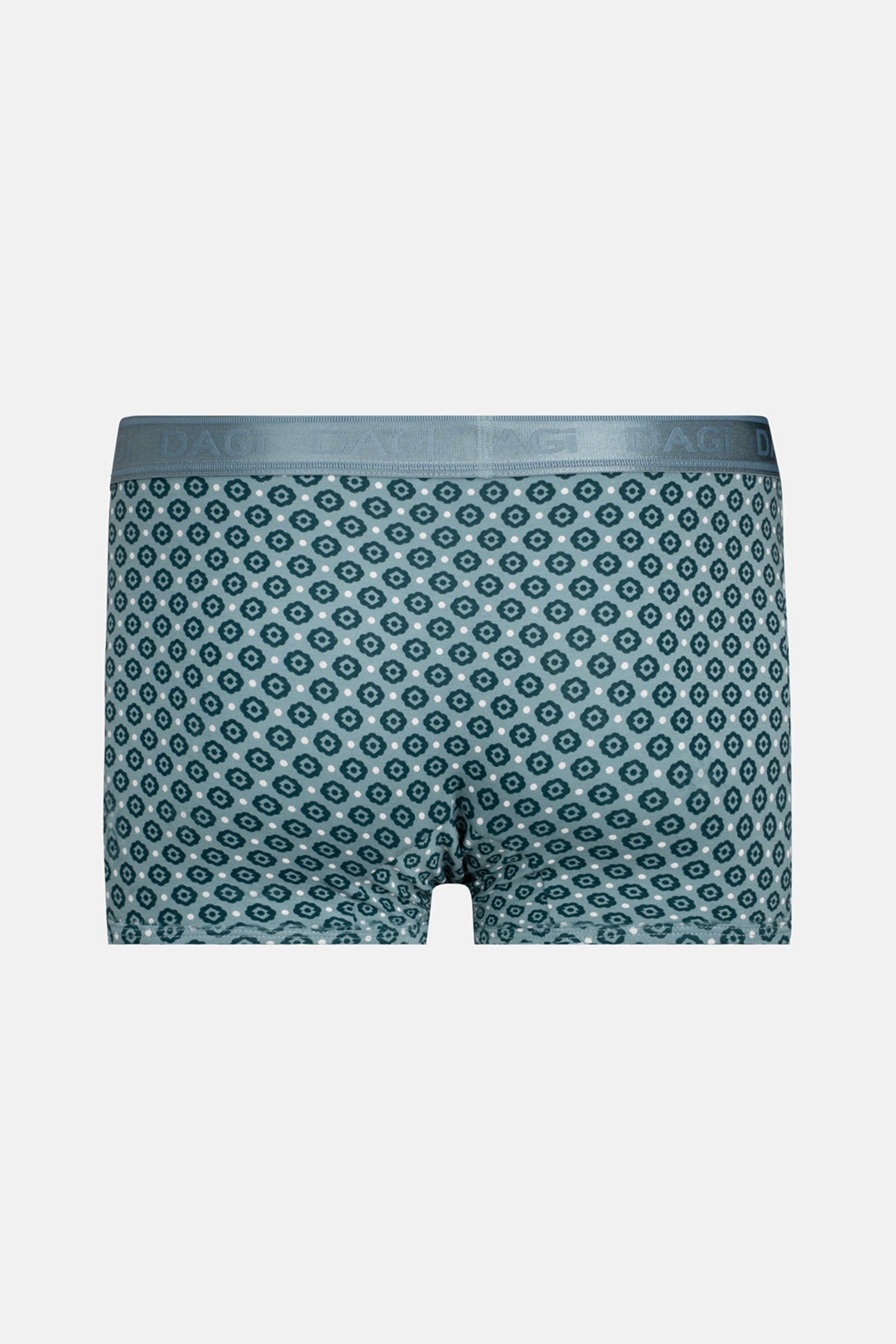 Su Yeşili 4210 Desenli Micro Modal Boxer