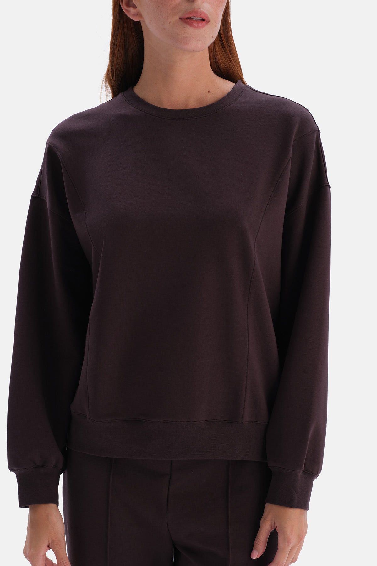 Kahverengi Bisiklet Yaka Cropped Sweatshirt