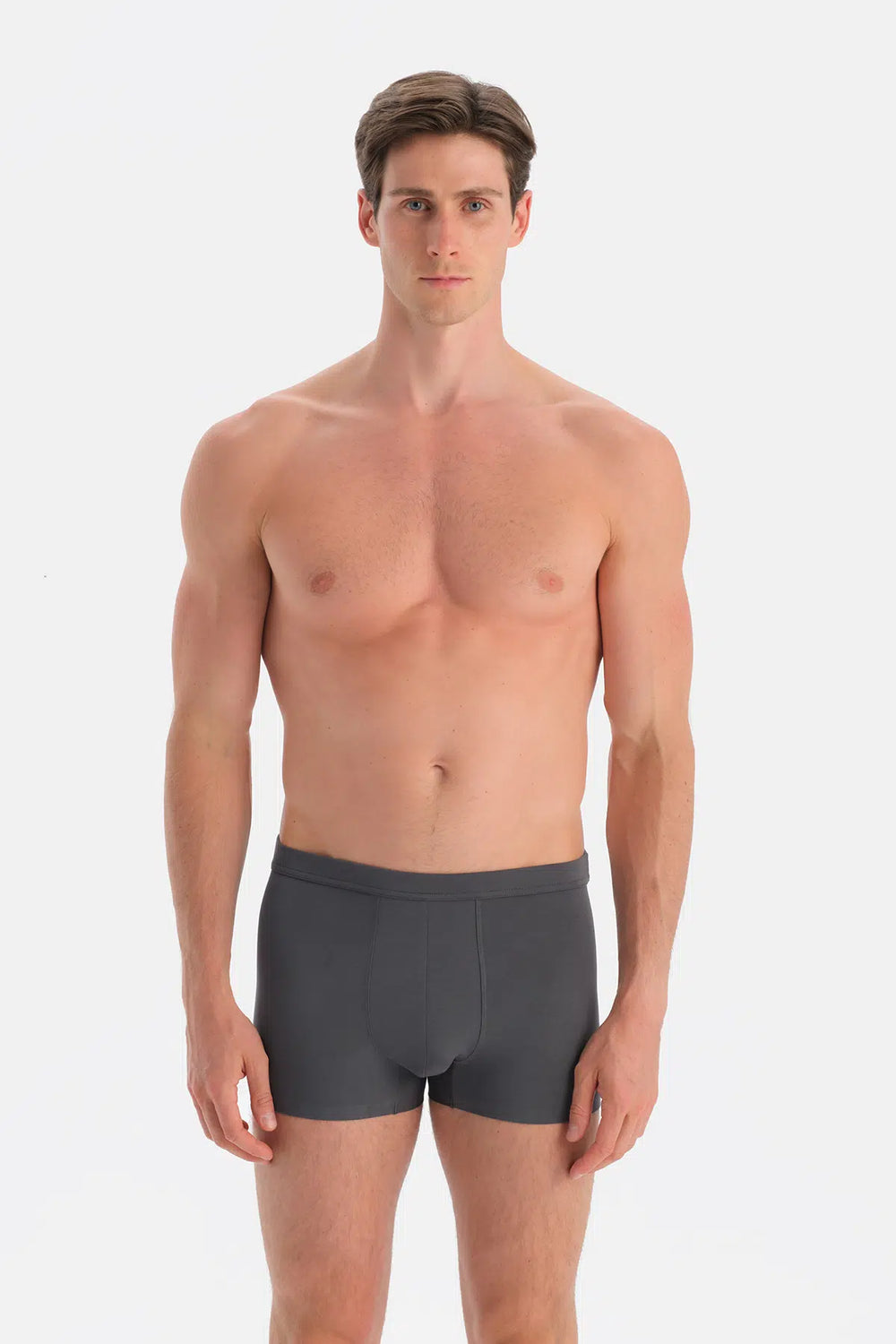 Antrasıt Düz Micro Modal Boxer
